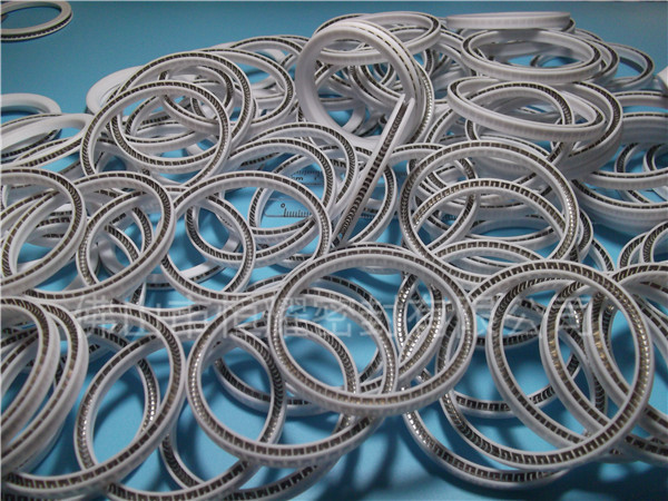 HOA、HVA軸用泛塞封 (2)