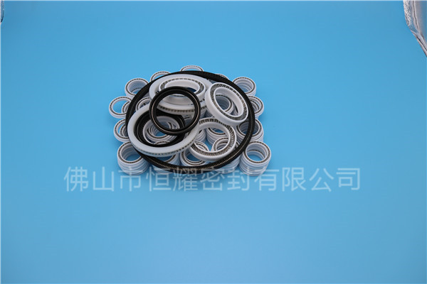 HOB、HVB孔用泛塞封 (6)