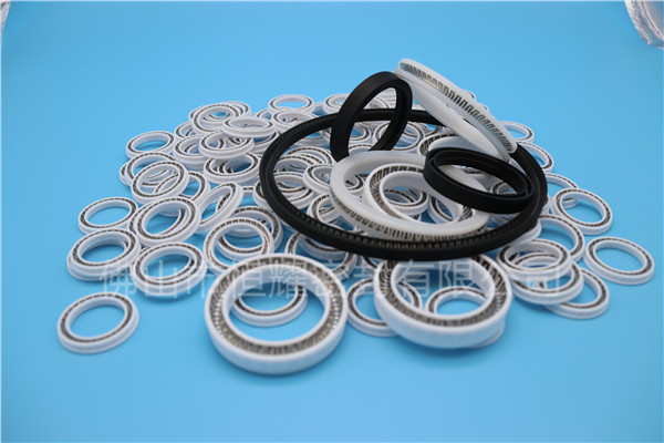 HOB、HVB孔用泛塞封 (14)