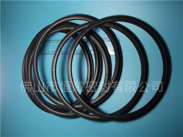 HOD、HVD旋轉(zhuǎn)泛塞封 (16)