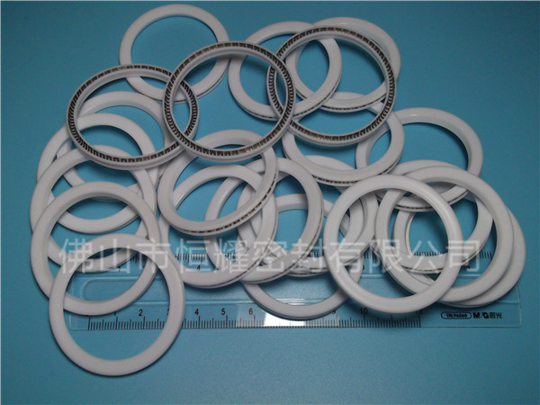 HVF、HVG端面內(nèi)、外向泛塞封 (9)