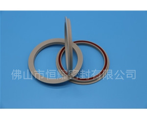 食品機(jī)械密封件 (29)