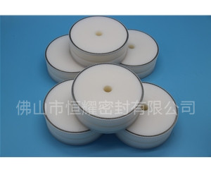 食品機(jī)械密封件 (65)