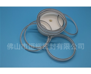 食品機(jī)械密封件 (63)