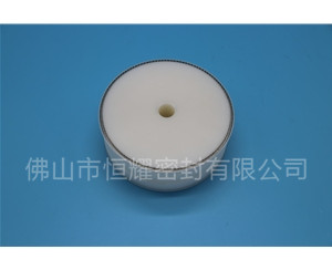 食品機(jī)械密封件 (62)