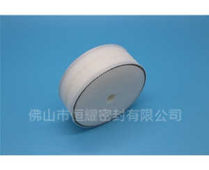 食品機(jī)械密封件 (60)