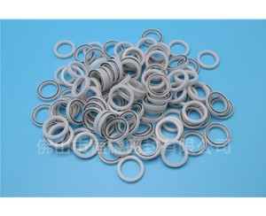 點(diǎn)膠機(jī)泛塞封 (21)