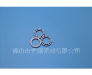 點(diǎn)膠機(jī)泛塞封 (22)