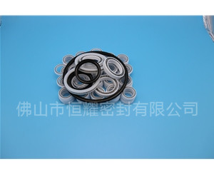 HOB、HVB孔用泛塞封 (6)