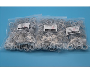 HOB、HVB孔用泛塞封 (16)