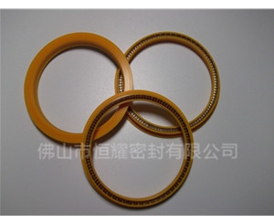 HOD、HVD旋轉(zhuǎn)泛塞封 (8)