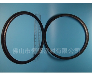 HOD、HVD旋轉(zhuǎn)泛塞封 (13)