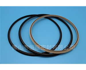 HOD、HVD旋轉(zhuǎn)泛塞封 (17)