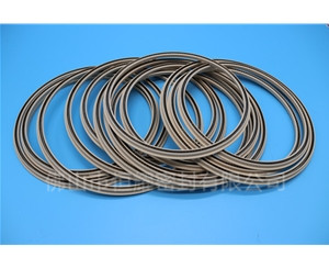 HOD、HVD旋轉(zhuǎn)泛塞封 (19)