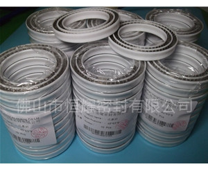 HOC、HVC孔軸兩用泛塞封 (17)