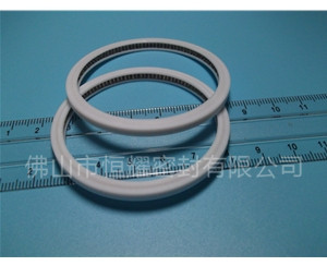 HVF、HVG端面內(nèi)、外向泛塞封 (4)