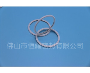 HVF、HVG端面內(nèi)、外向泛塞封 (21)