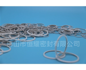 HVF、HVG端面內(nèi)、外向泛塞封 (23)